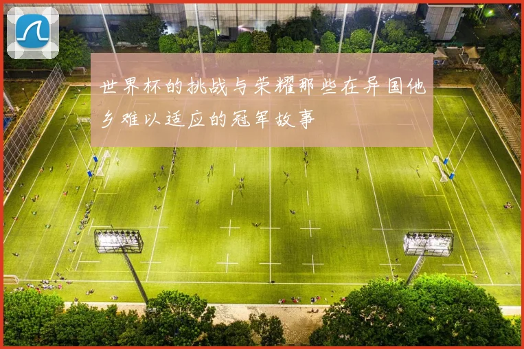 世界杯的挑战与荣耀那些在异国他乡难以适应的冠军故事