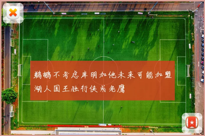 鹈鹕不考虑库明加他未来可能加盟湖人国王独行侠或老鹰